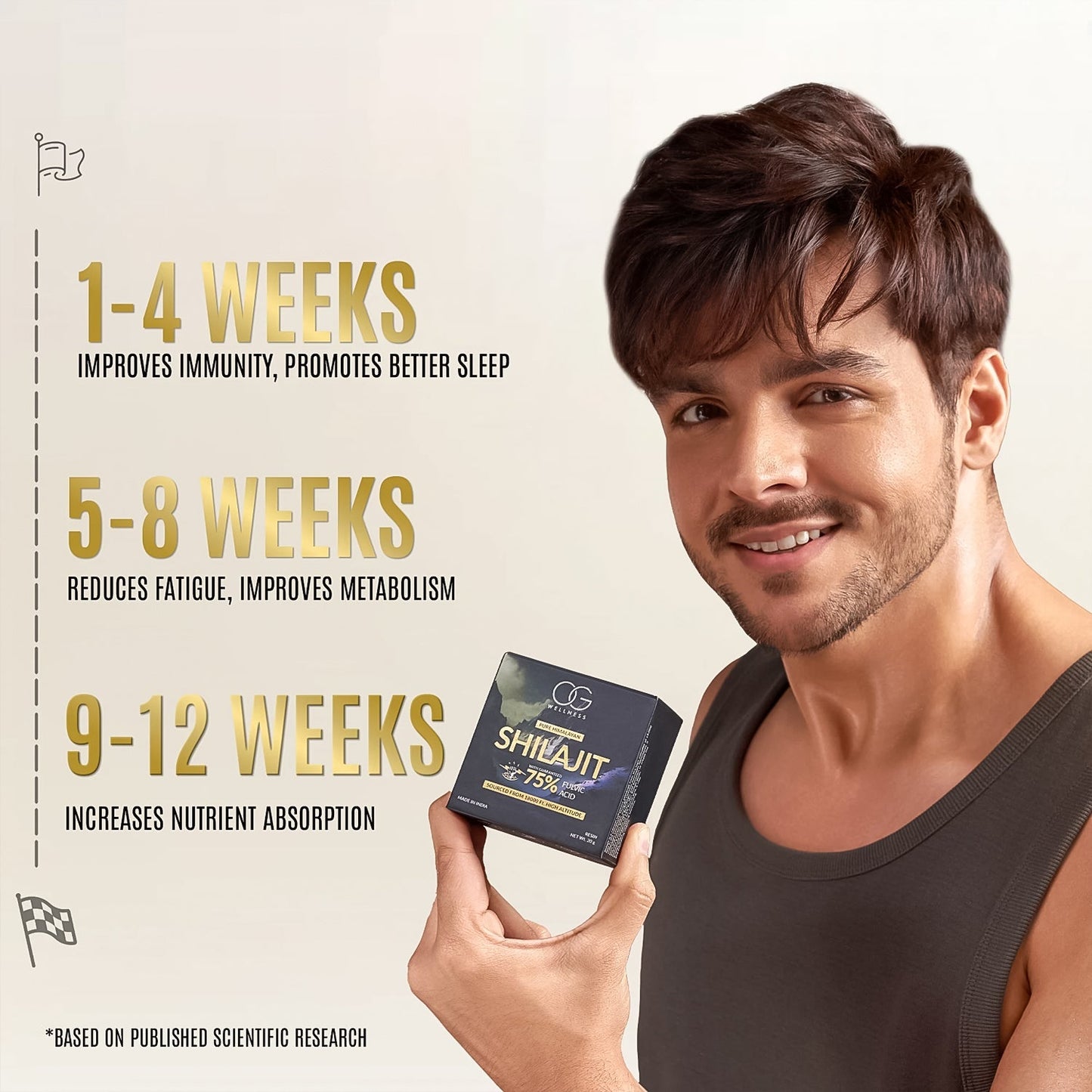 OG Wellness Pure Himalayan Shilajit Resin (20 GM / 1 Pc)