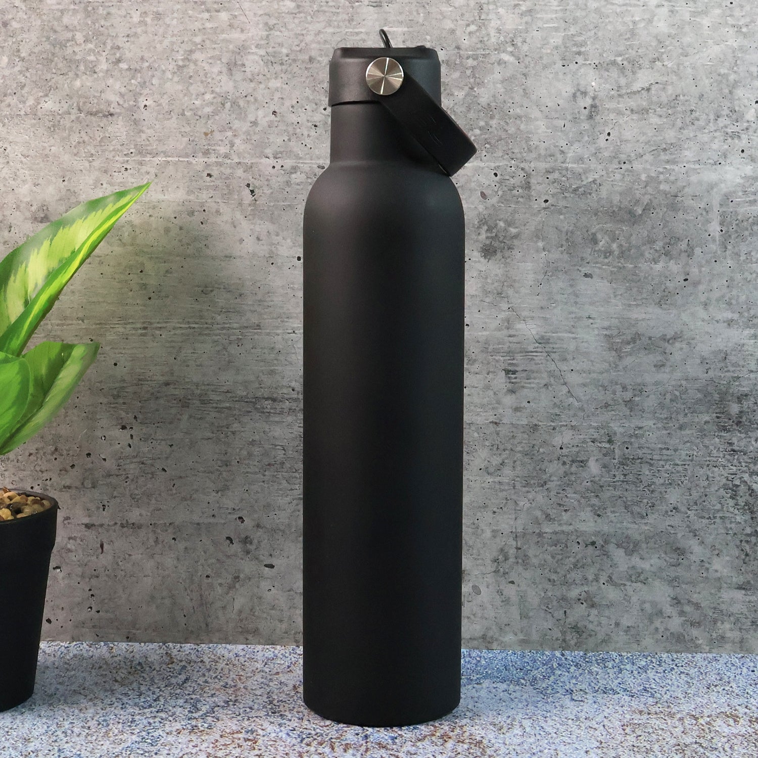 Travel Stainless Steel Water Bottle