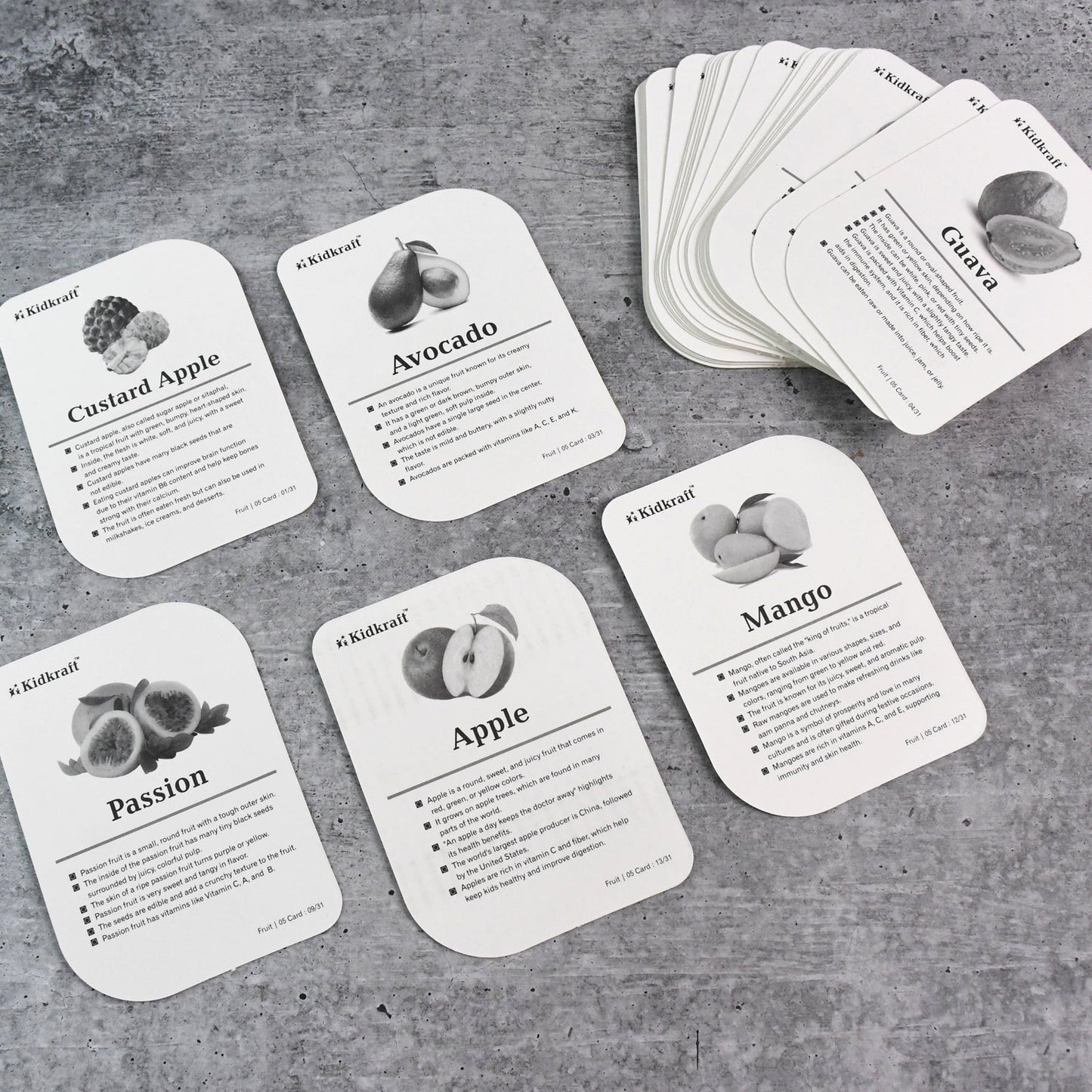 KidKraft Early Learner Educational Flashcards – 32 Birds