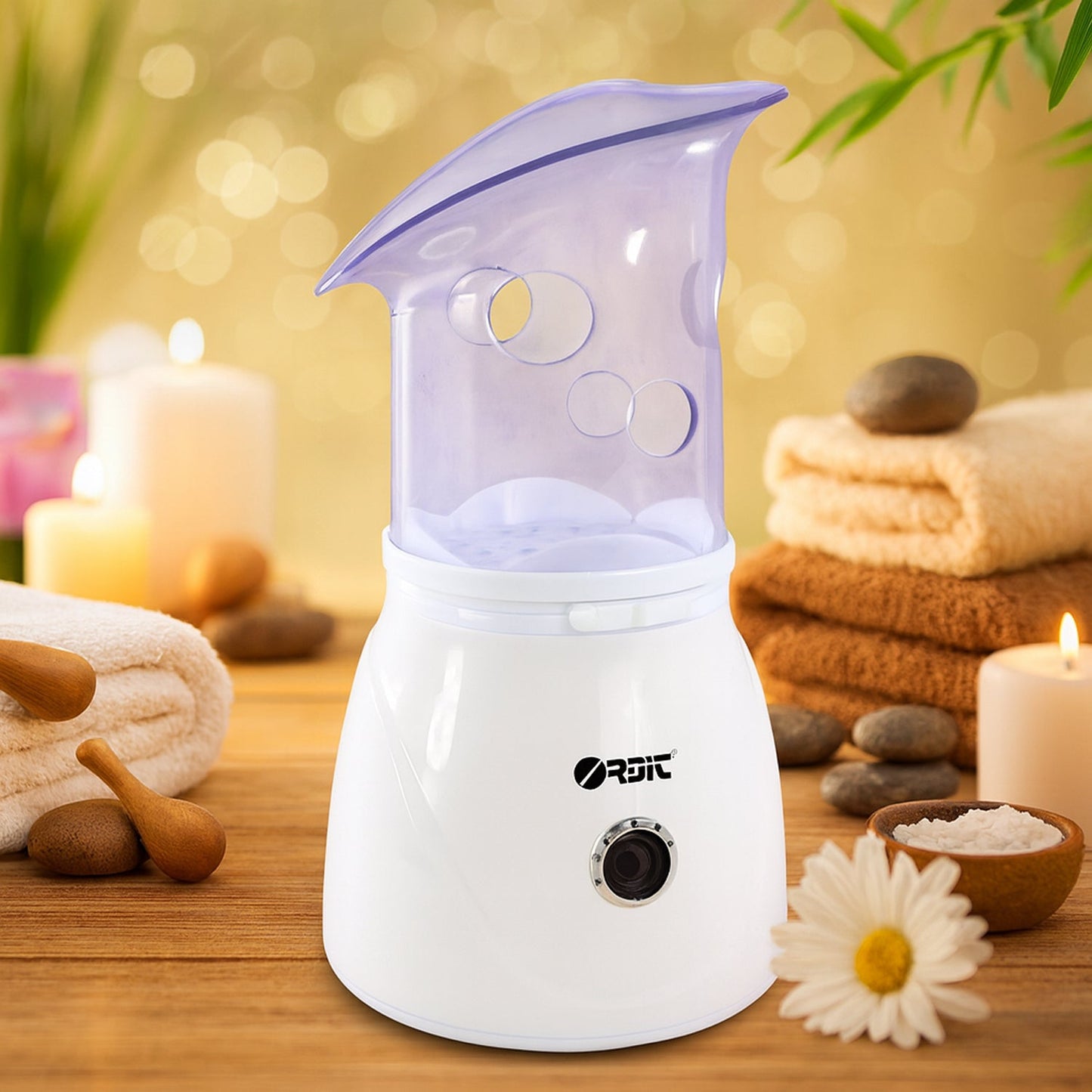 Professional Facial Steamer