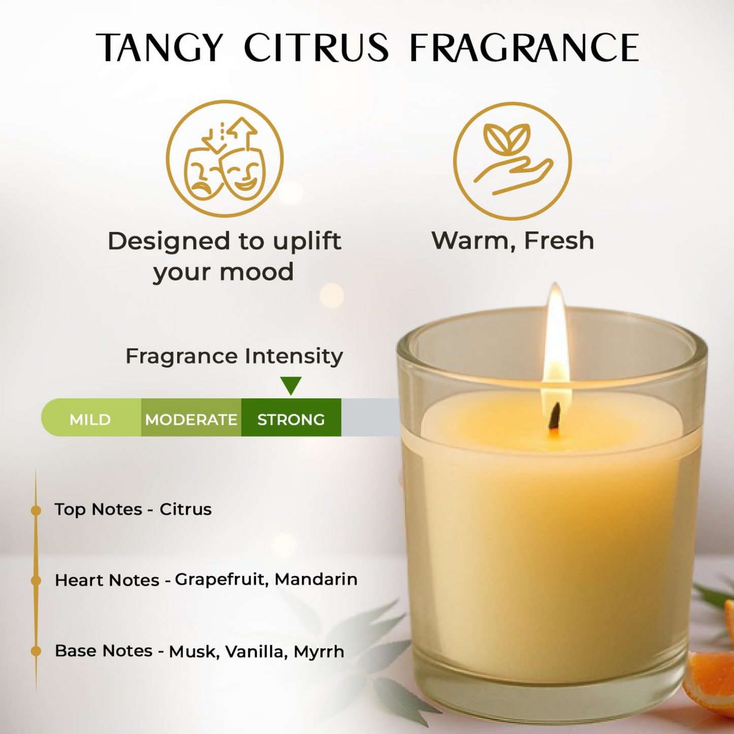 In'lief Blueberry Soy-Blend Votive Candle Glass – 50 gm (1 Pc)