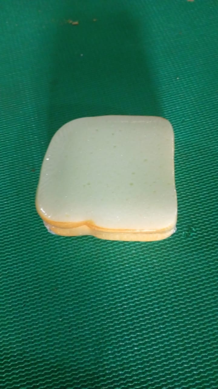 Sandwich Shaped Note / Sticky Notes / Memo Notes, Unique Mini Notes (Multicolor)