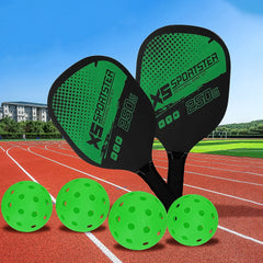 Professional Outdoor Pickleball Paddle and Ball (1 Set)