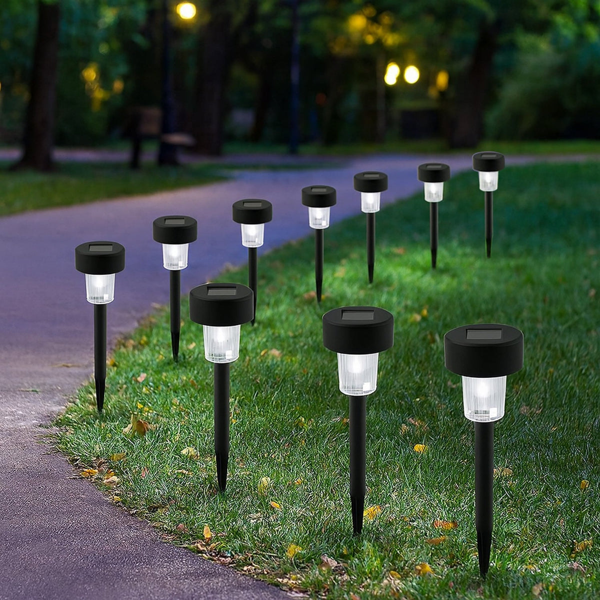 Solar Powered Garden Pathway Lights 