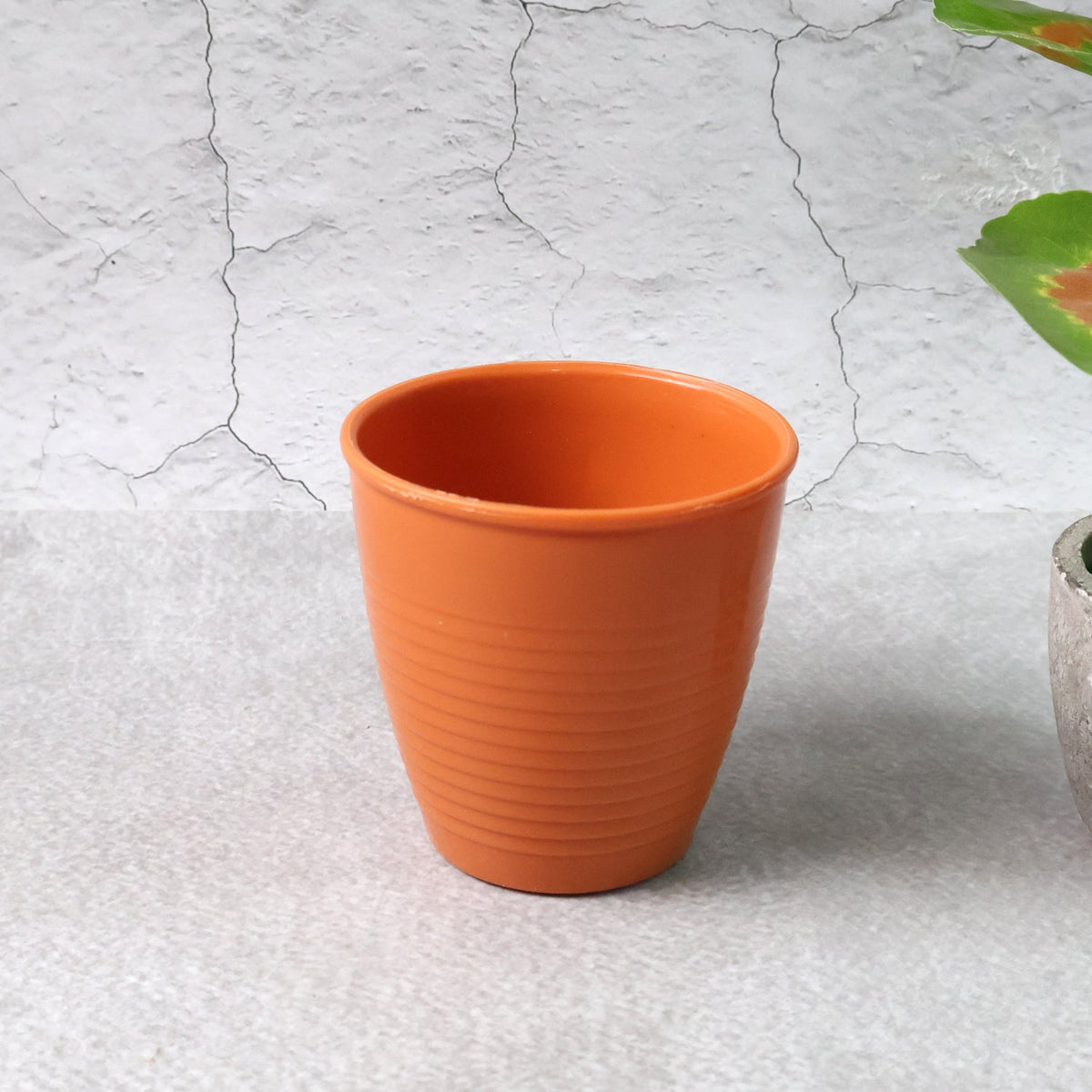 Durable Plastic Small Drinking Glass (1 Pc)