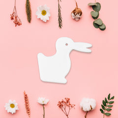 Magic Duck & Rabbit Illusion Toy