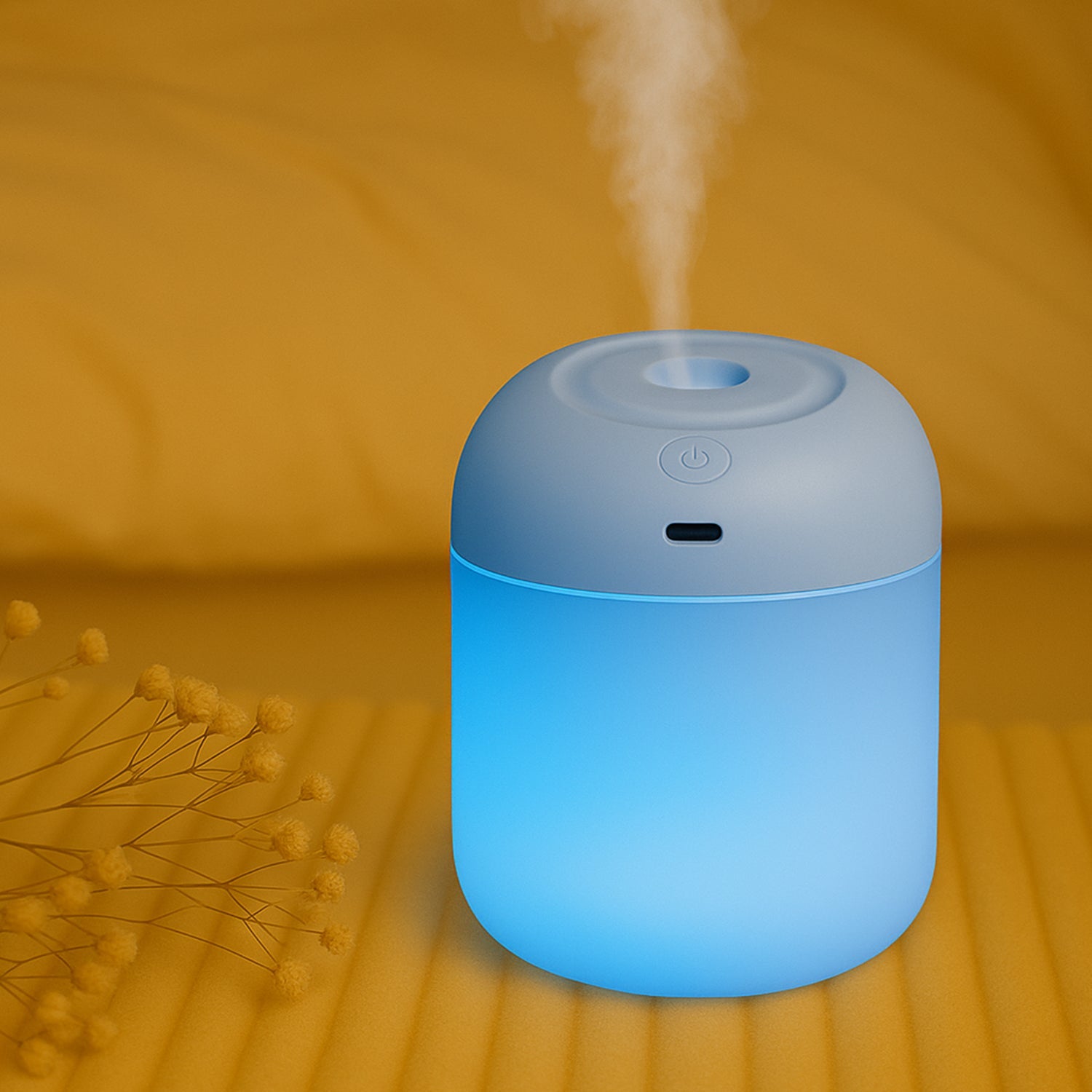 Portable Mini USB Humidifier with Light, Cool Mist & Essential Oil Diffuser (250ML)