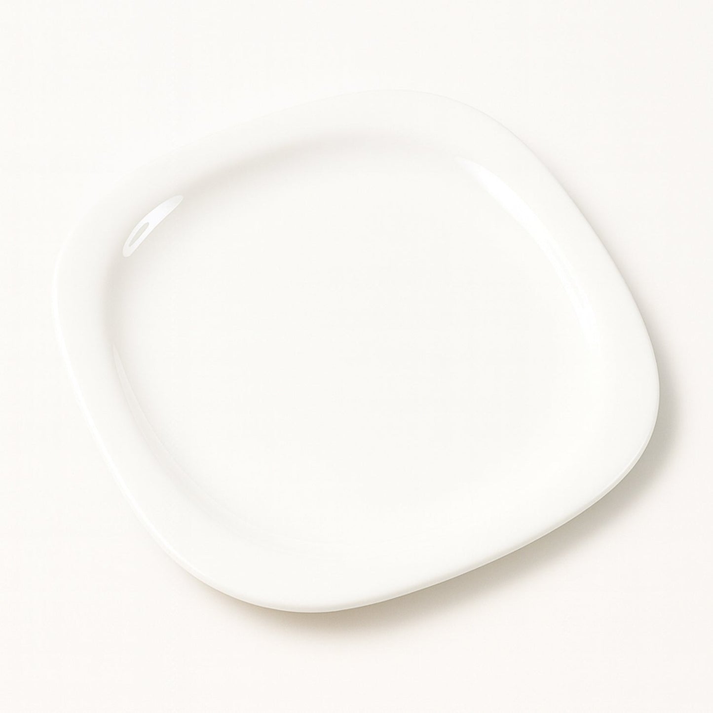 Dinner Plate