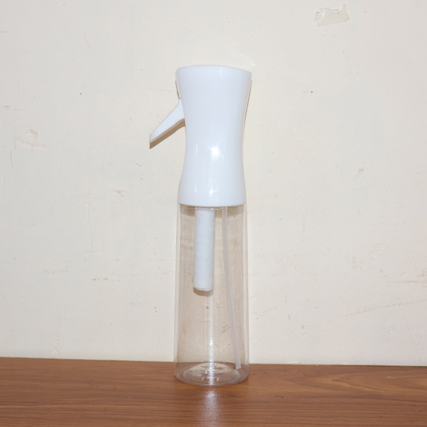 Continuous Fine Mist Spray Bottle - (1 Pc / 300 Ml Appox)