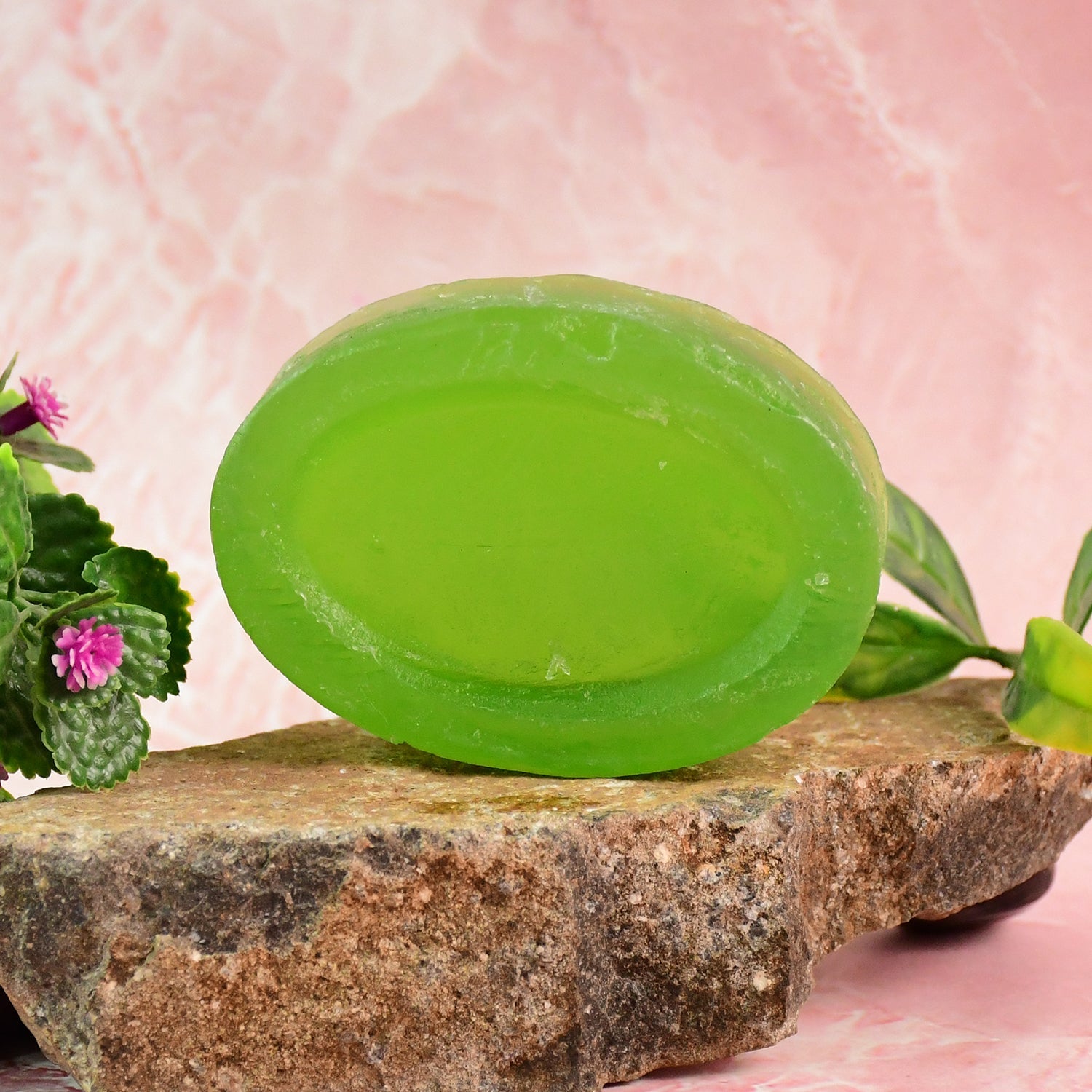 Doctor Chhoices Premium Aloe Vera Herbal Bath Soap (1 Pc)