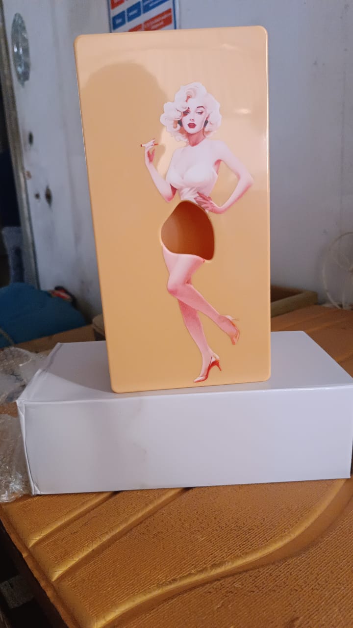 Plastic Creative Tissue Dispenser Box (1 Pc)