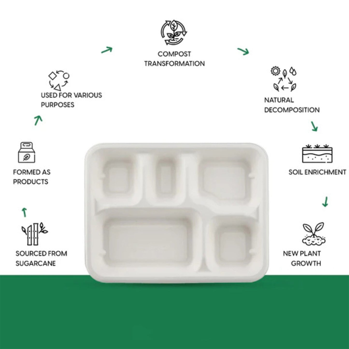 5-Compartment Rectangle Lunch Compostable Bagasse Plate â€“ 10 Pcs Pack